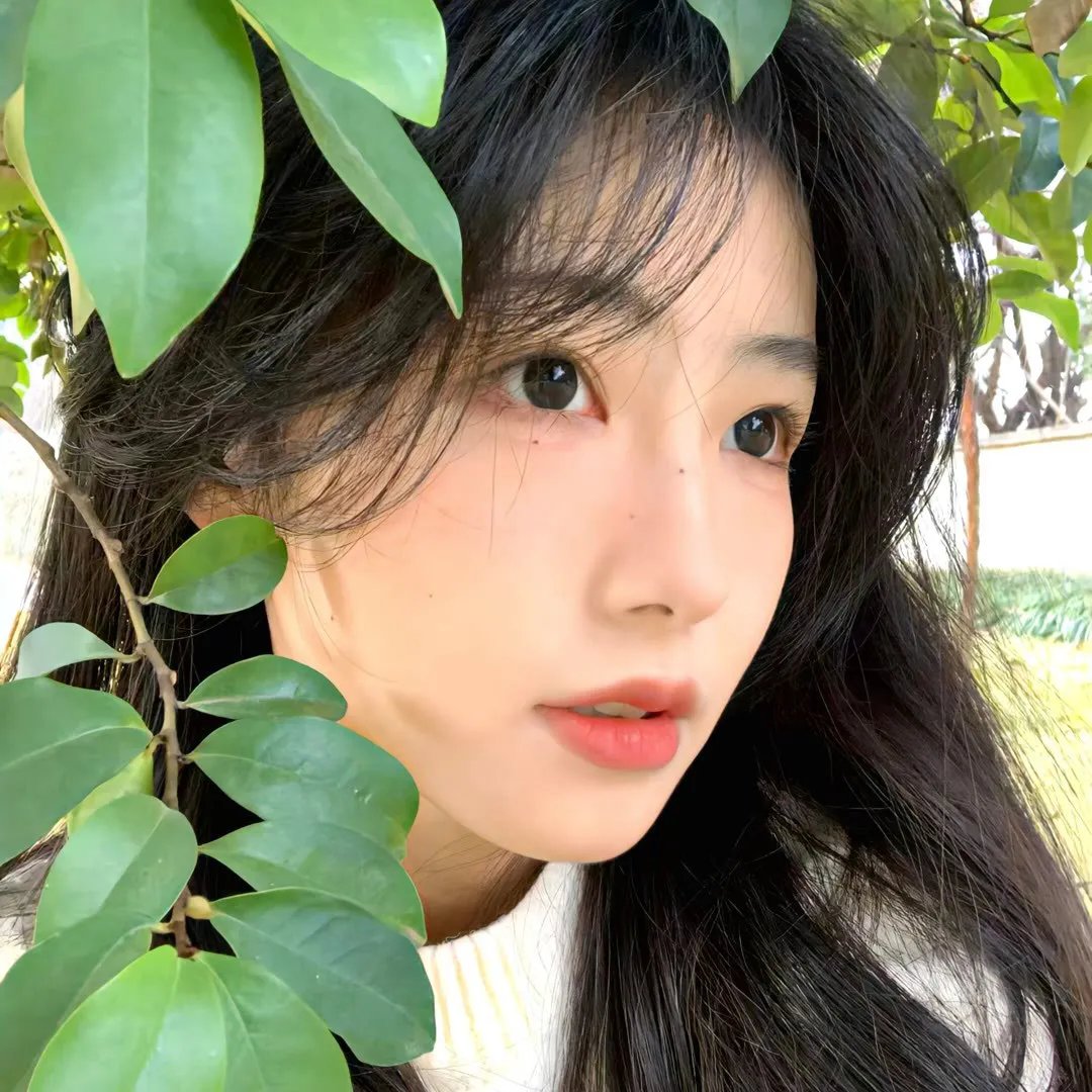 君子好逑